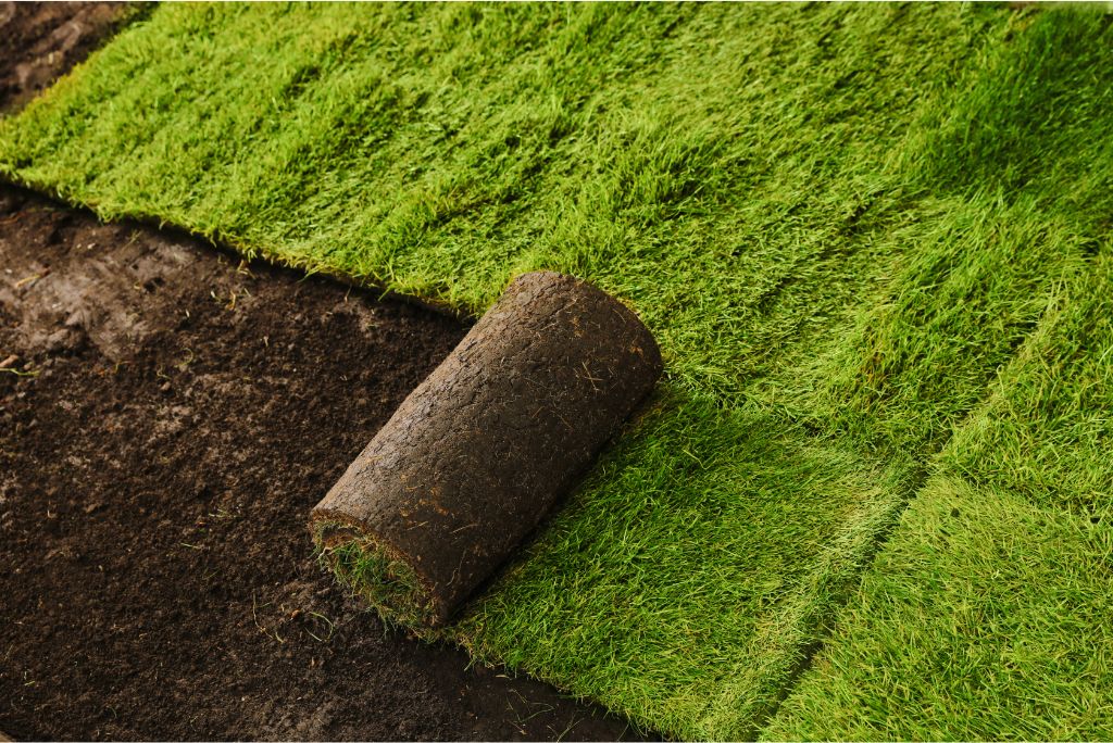 Transform Your Business Landscape The Ultimate Guide to Commercial Sod Grass in Texas