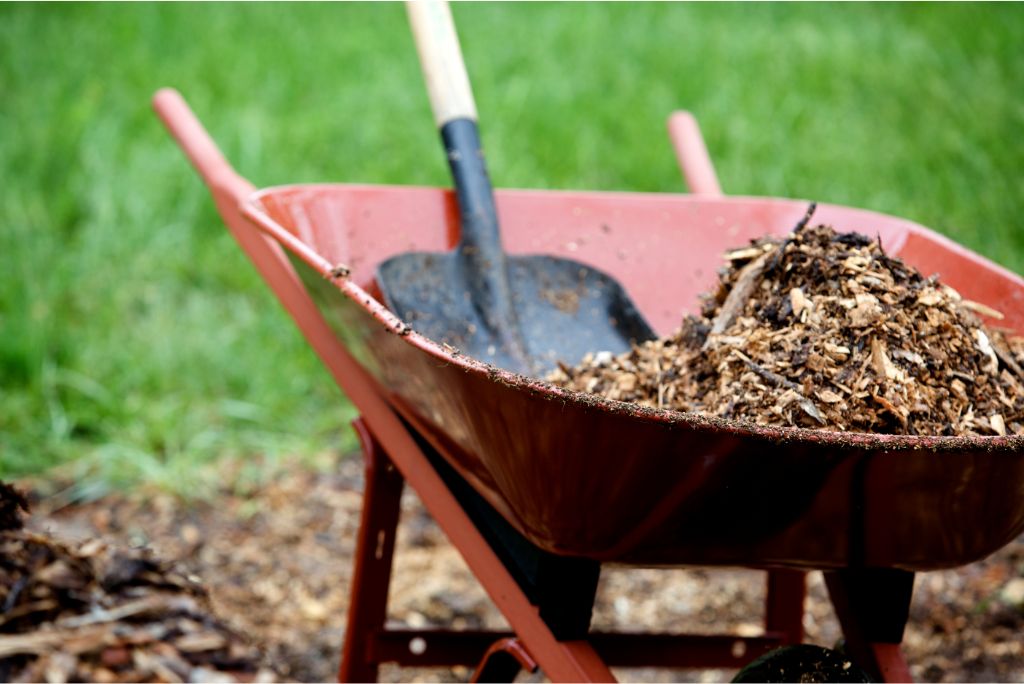 Expert Insights for Mulch in Allen TX Dos and Don'ts You Need to Know!