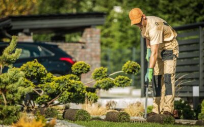 10 Insider Tips: What the Best Frisco Landscape Companies Recommend for Your Garden