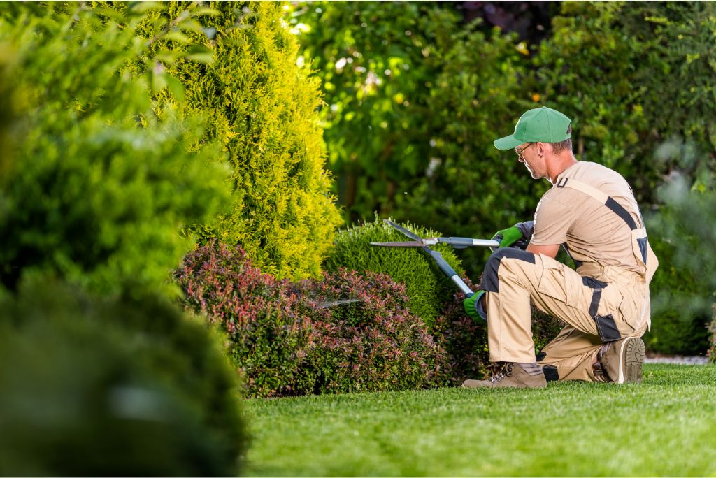 8 Proven Tips for Hiring the Perfect Yard Worker for Your Home