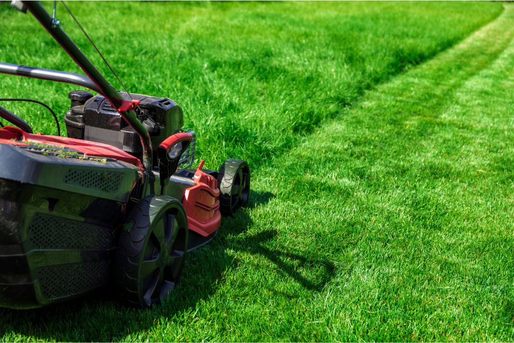 Ultimate Guide to DIY Lawn Service Proven Care Tips for a Perfect Yard 