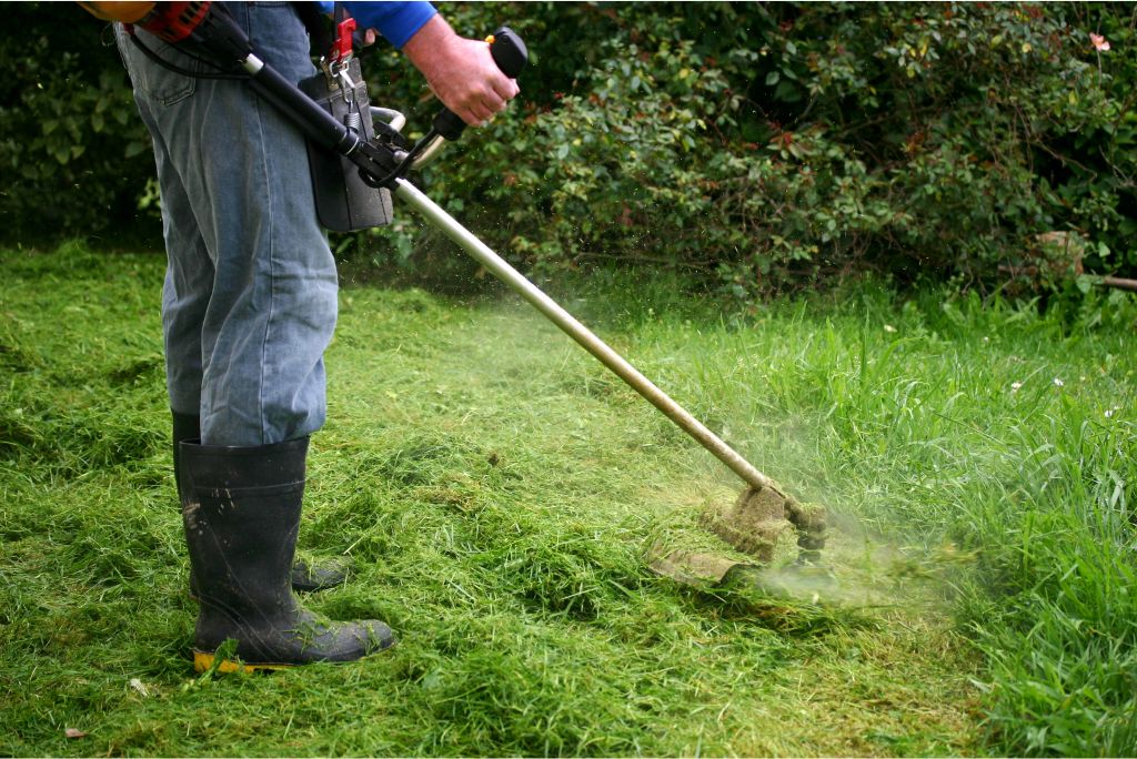 Expert-Backed Reasons Why You Should Weed Whack Before or After Mowing for Better Results 